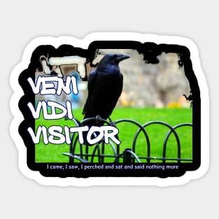 Veni Vidi Visitor - I came, I saw, I perched and sat and nothing more Sticker